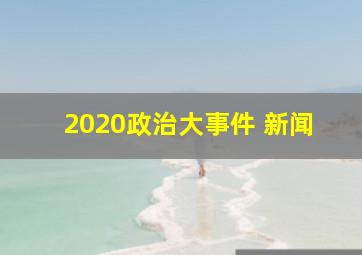 2020政治大事件 新闻